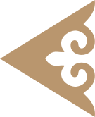 FlyArystan